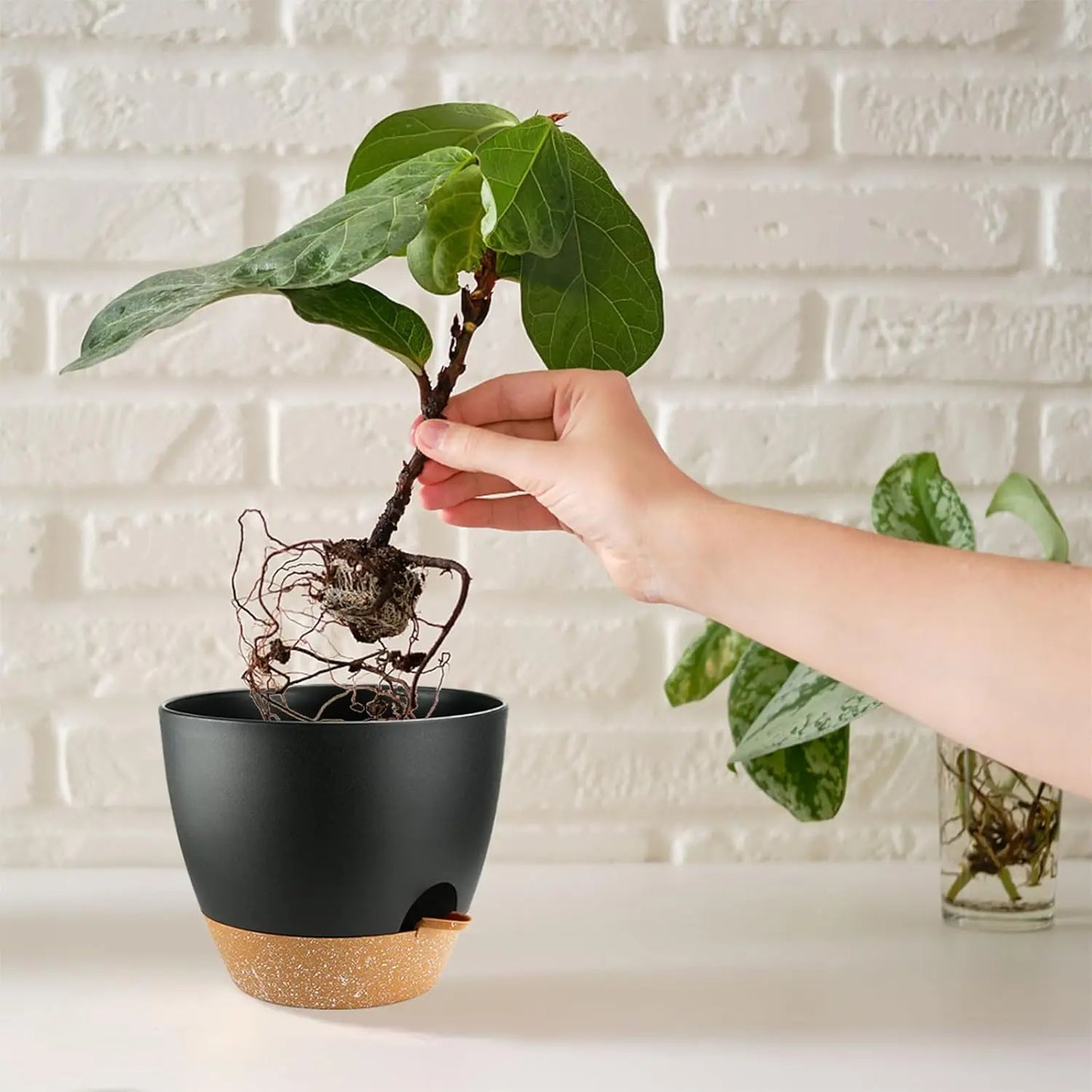 5-Pack Self Watering Plant Pots with Drainage Holes