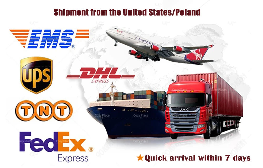 24 Inch Pre-Lit Traditional Wreath