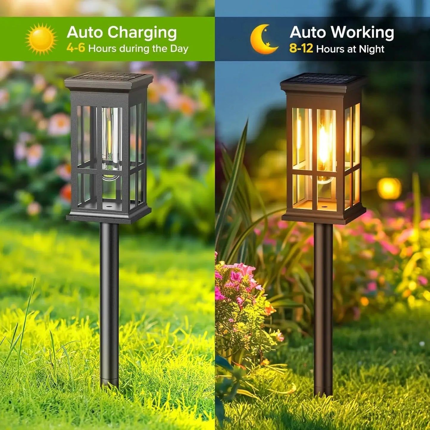 Solar Pathway Lights
