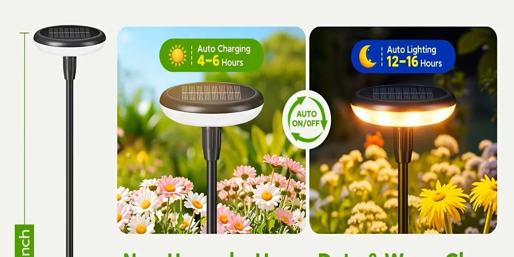 Solar Powered Pathway Lights