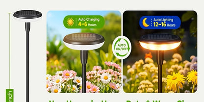Solar Powered Pathway Lights