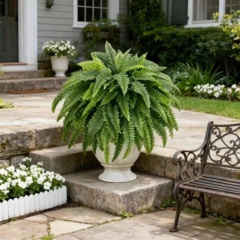 Elegant Boston fern decor