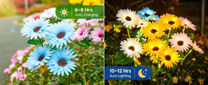 16 Glowing Daisy Flowers Solar Lights