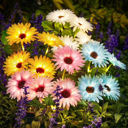 16 Glowing Daisy Flowers Solar Lights