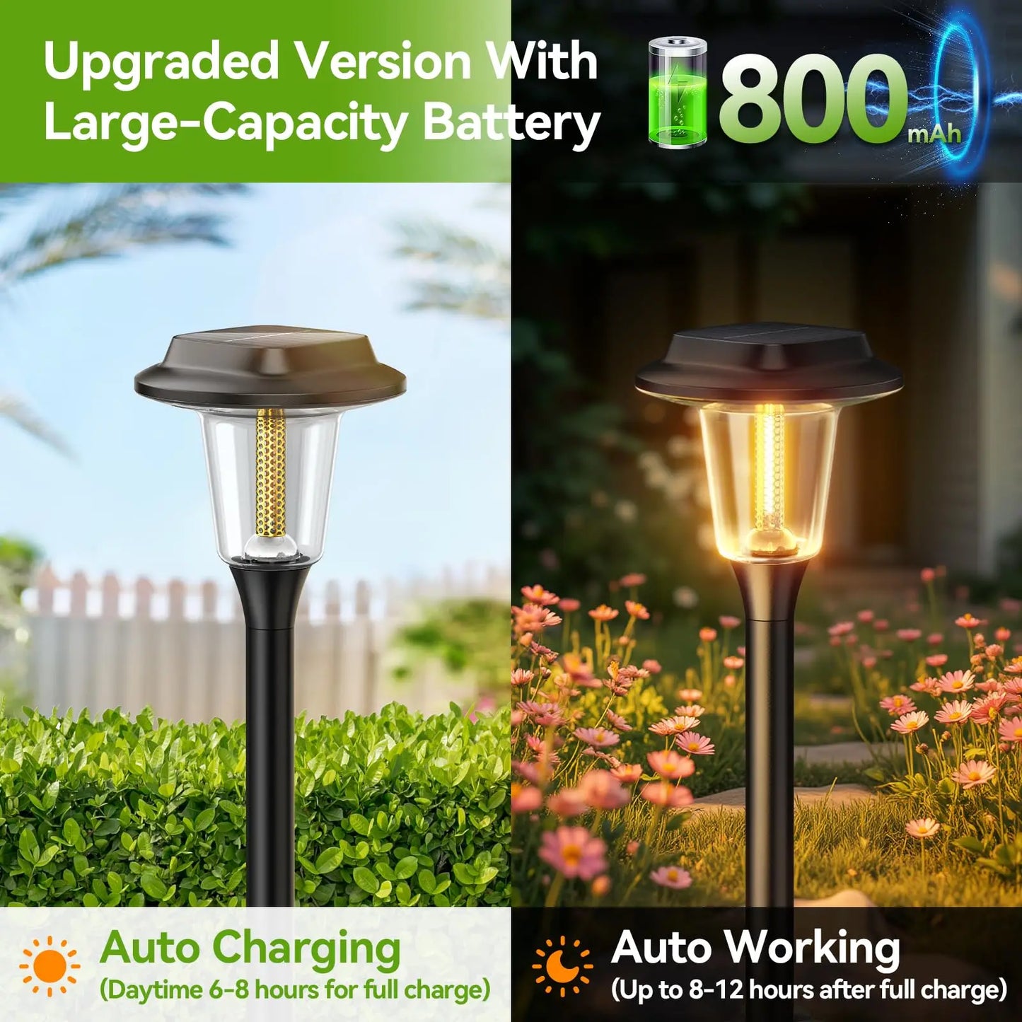 Solar Pathway Lights