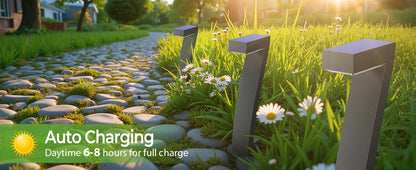 Bright LED Solar Pathway Lights