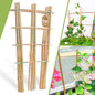 10 Pack 16 Inch Natura Bamboo Trellis For Climbing Plants