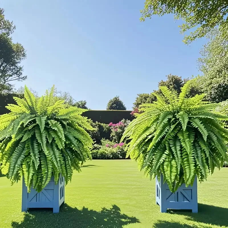 Elegant Boston fern decor