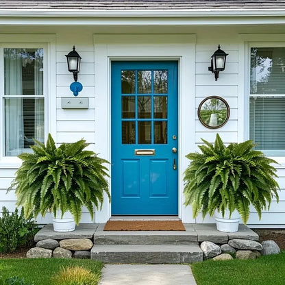 Elegant Boston fern decor