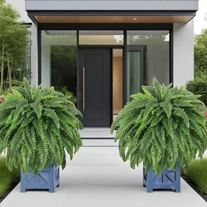 Elegant Boston fern decor