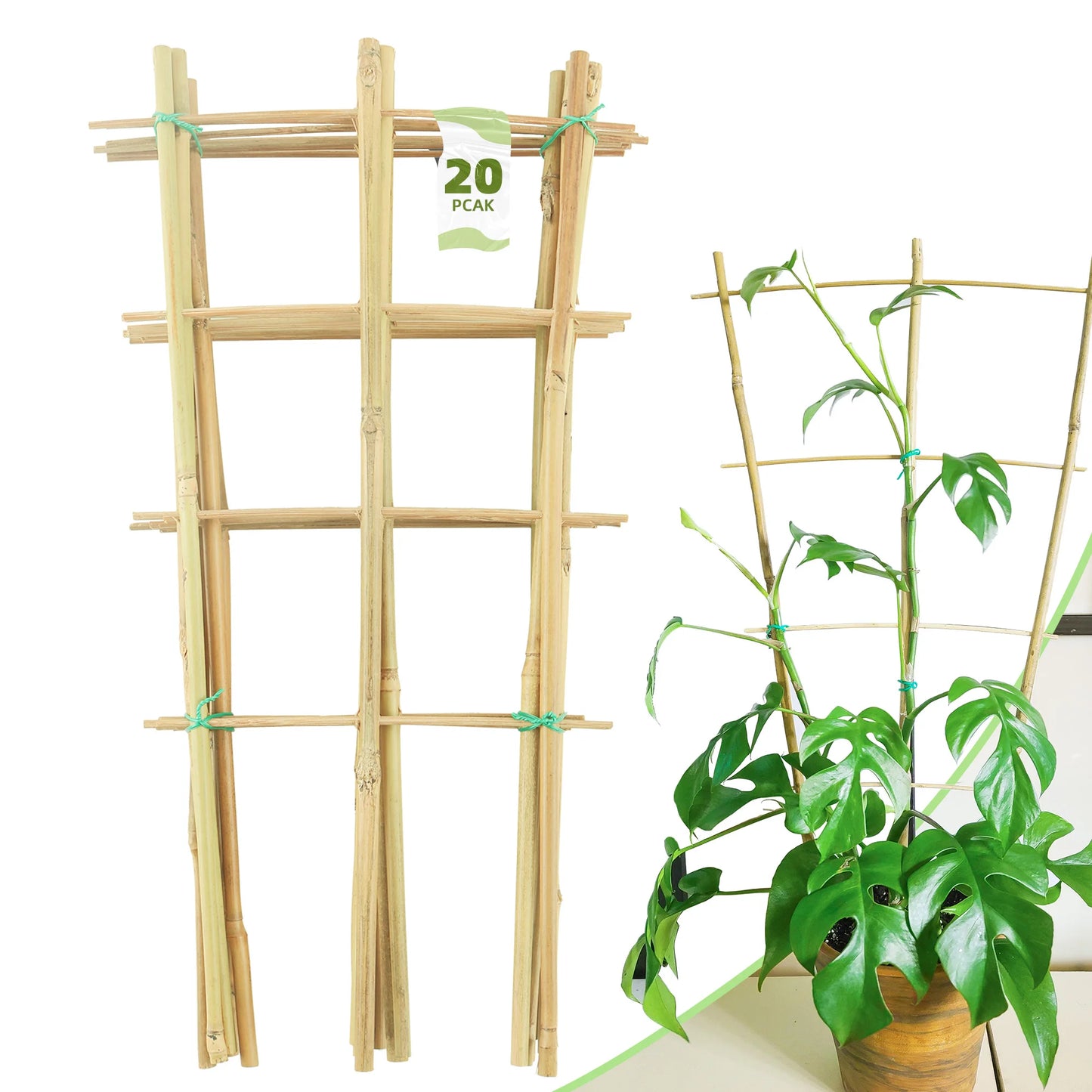 10 Pack 16 Inch Natura Bamboo Trellis For Climbing Plants