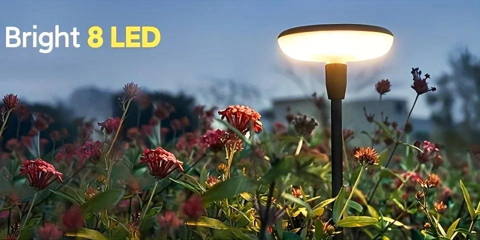 Solar Powered Pathway Lights