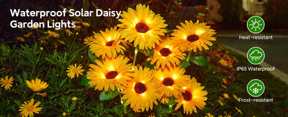 16 Glowing Daisy Flowers Solar Lights