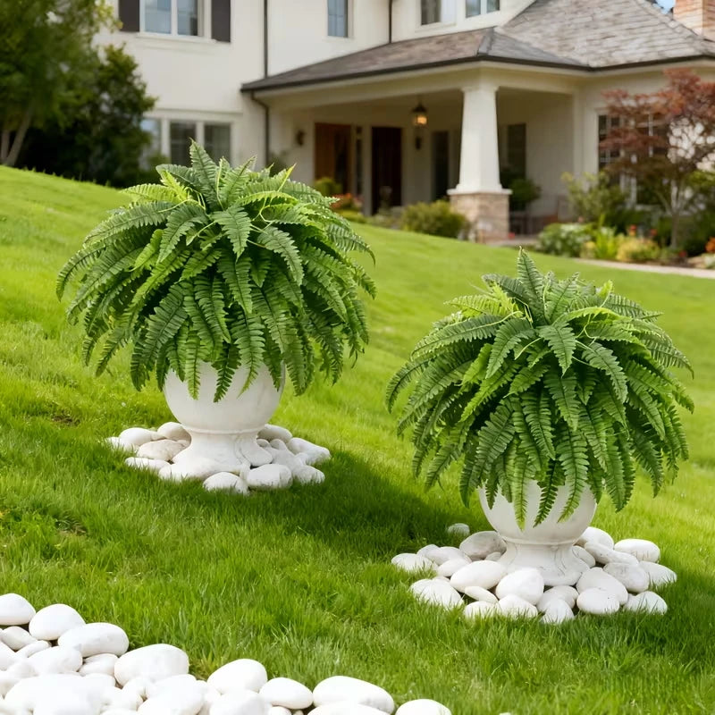 Elegant Boston fern decor