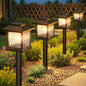 Solar Pathway Light