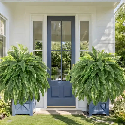 Elegant Boston fern decor
