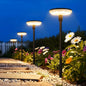 Solar Powered Pathway Lights
