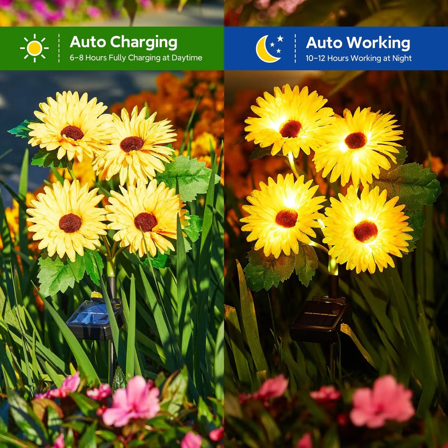 16 Glowing Daisy Flowers Solar Lights