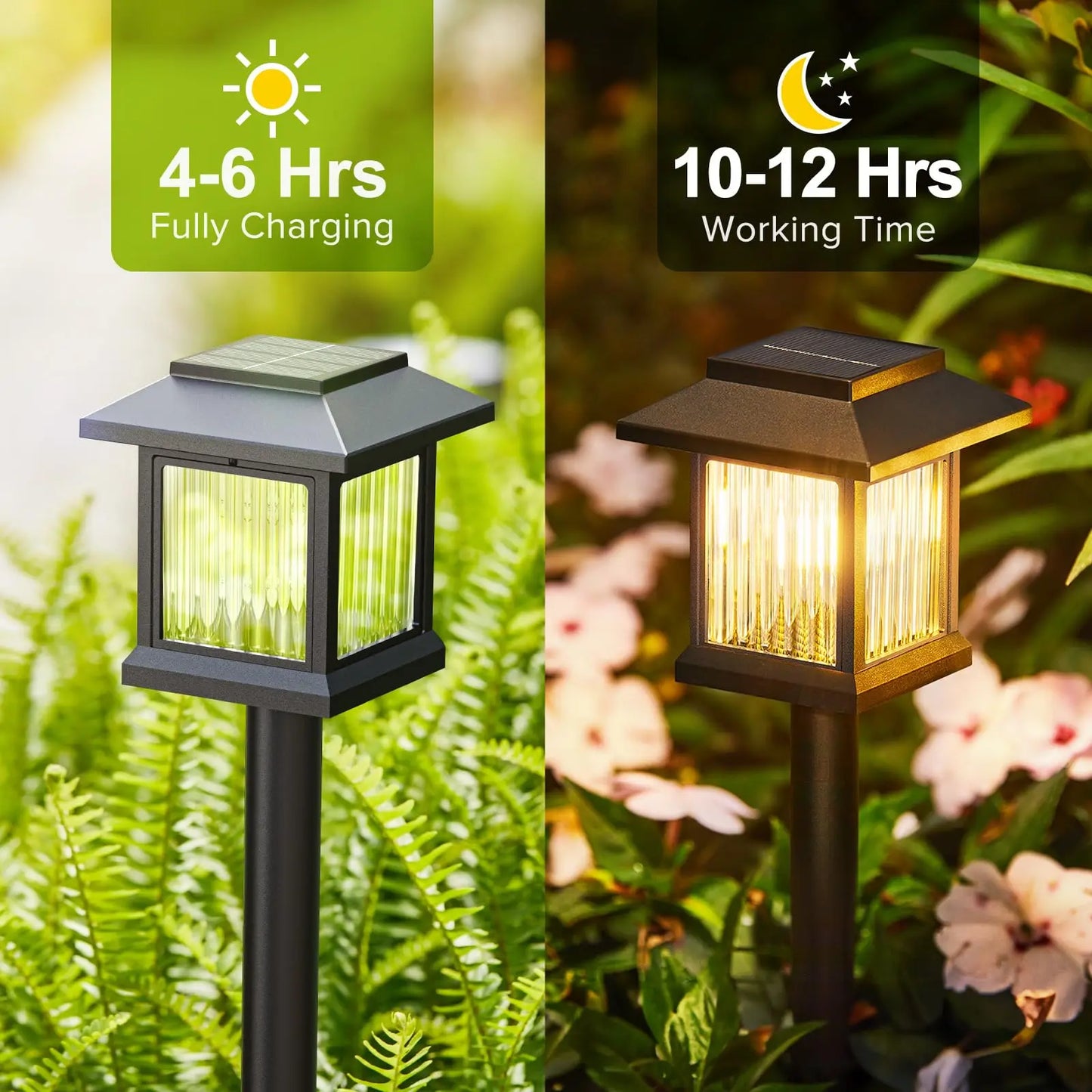Solar Pathway Light