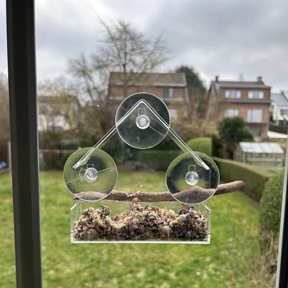 Transparent Bird Feeder for Outdoor Window with Strong Suction Cups