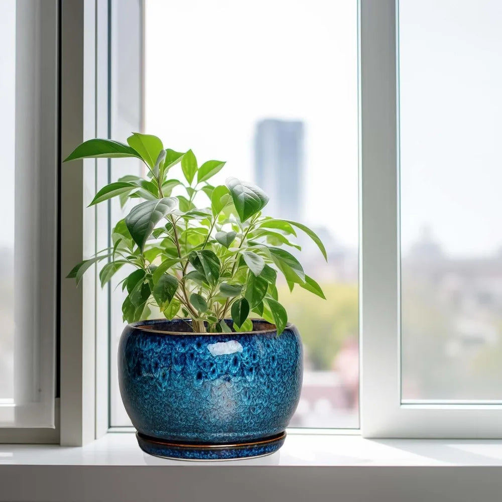 10 Inch Ceramic Planter Pot with Drainage Hole and Sauce