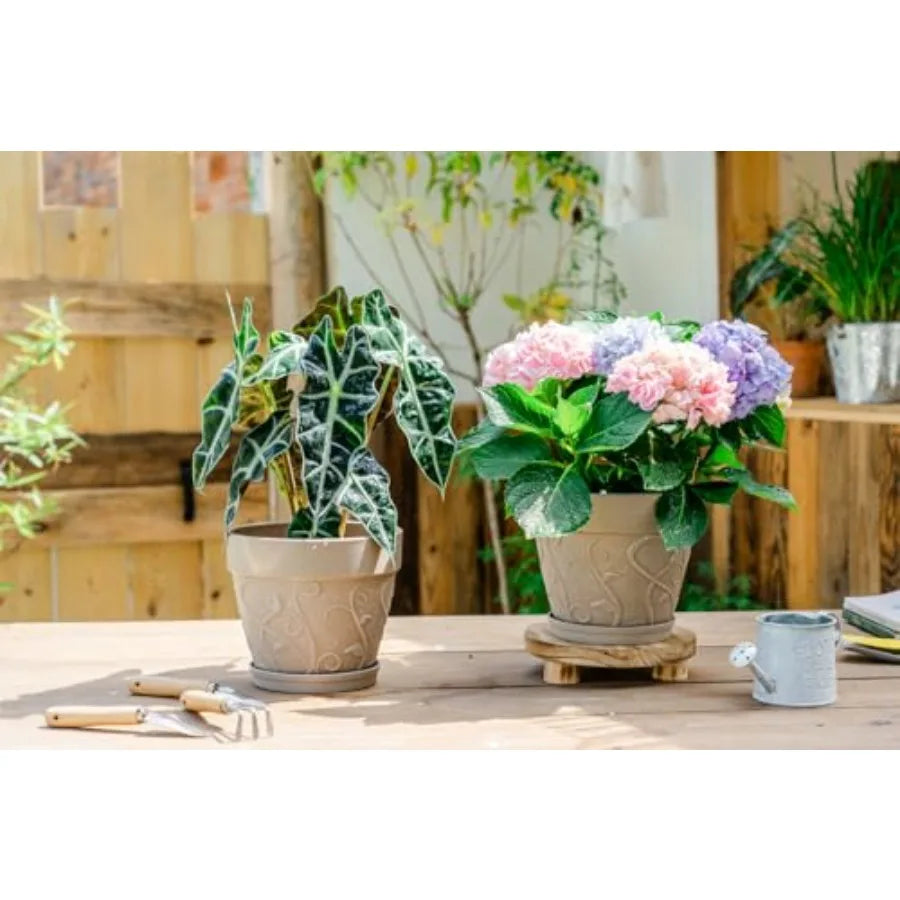 2Pack 7 inch Flower Pots