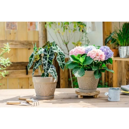 2Pack 7 inch Flower Pots