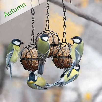 Metal Suet Ball Bird Feeder with Hanging Chain