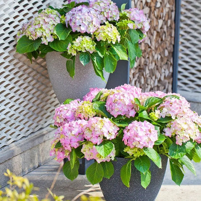 Frosted Imitation Stone Flower Pots