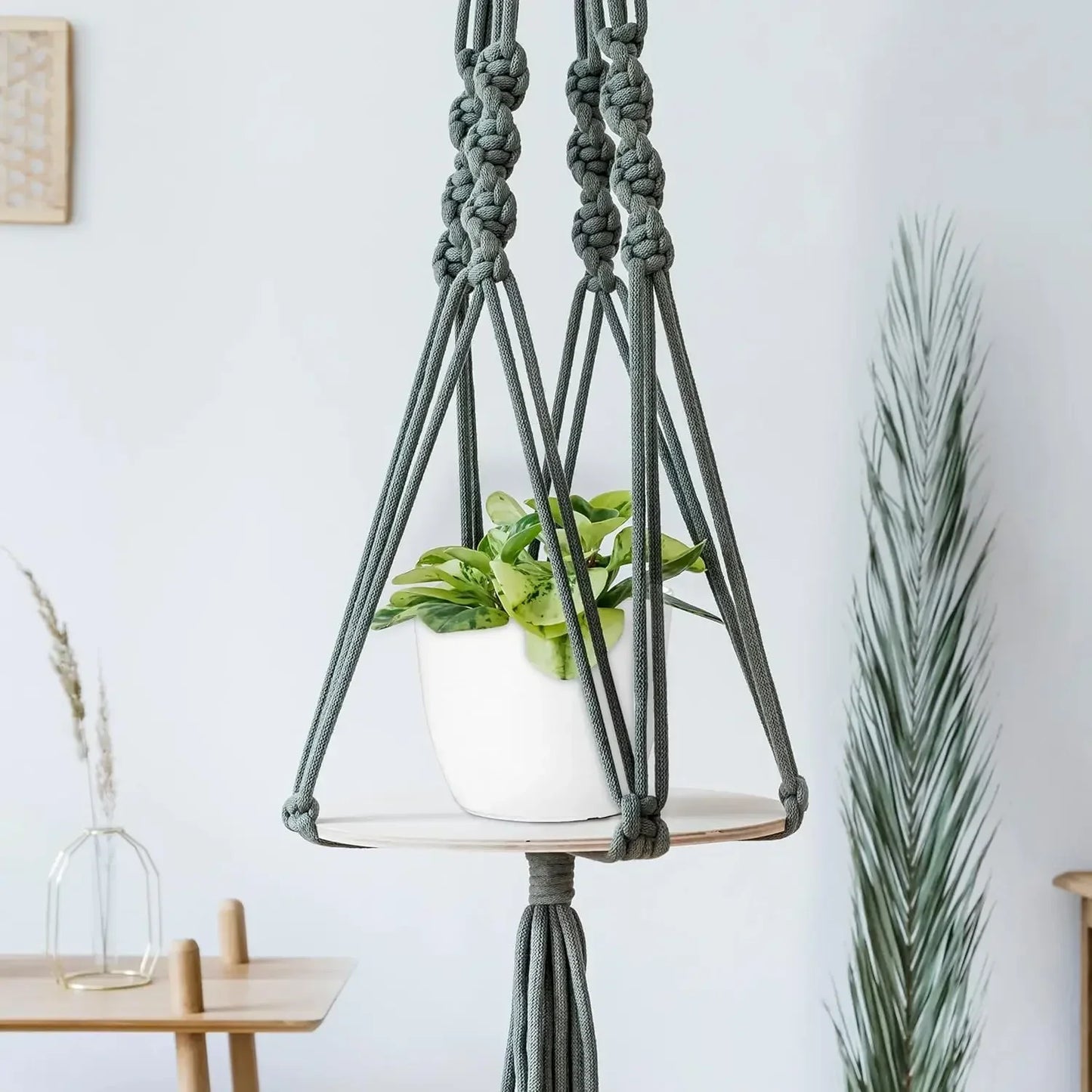 5 Pack White Plastic Plant Pots with Drainage