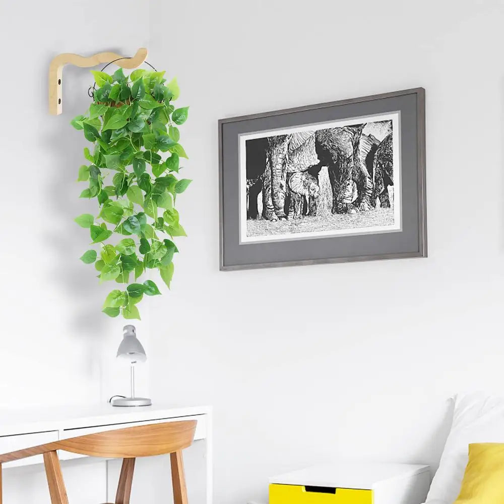 Natural Wood Wall Plant Hanger