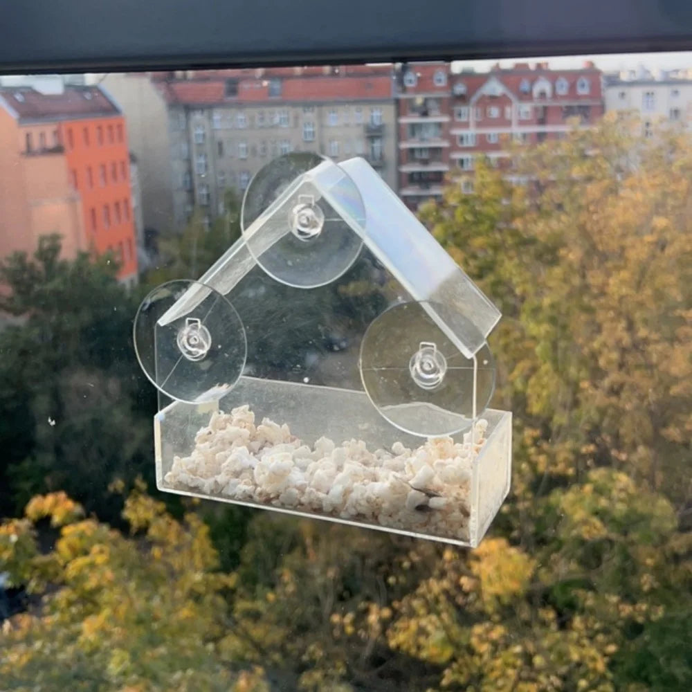 Transparent Bird Feeder for Outdoor Window with Strong Suction Cups