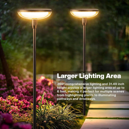 6Pack Solar Garden/Path Lights