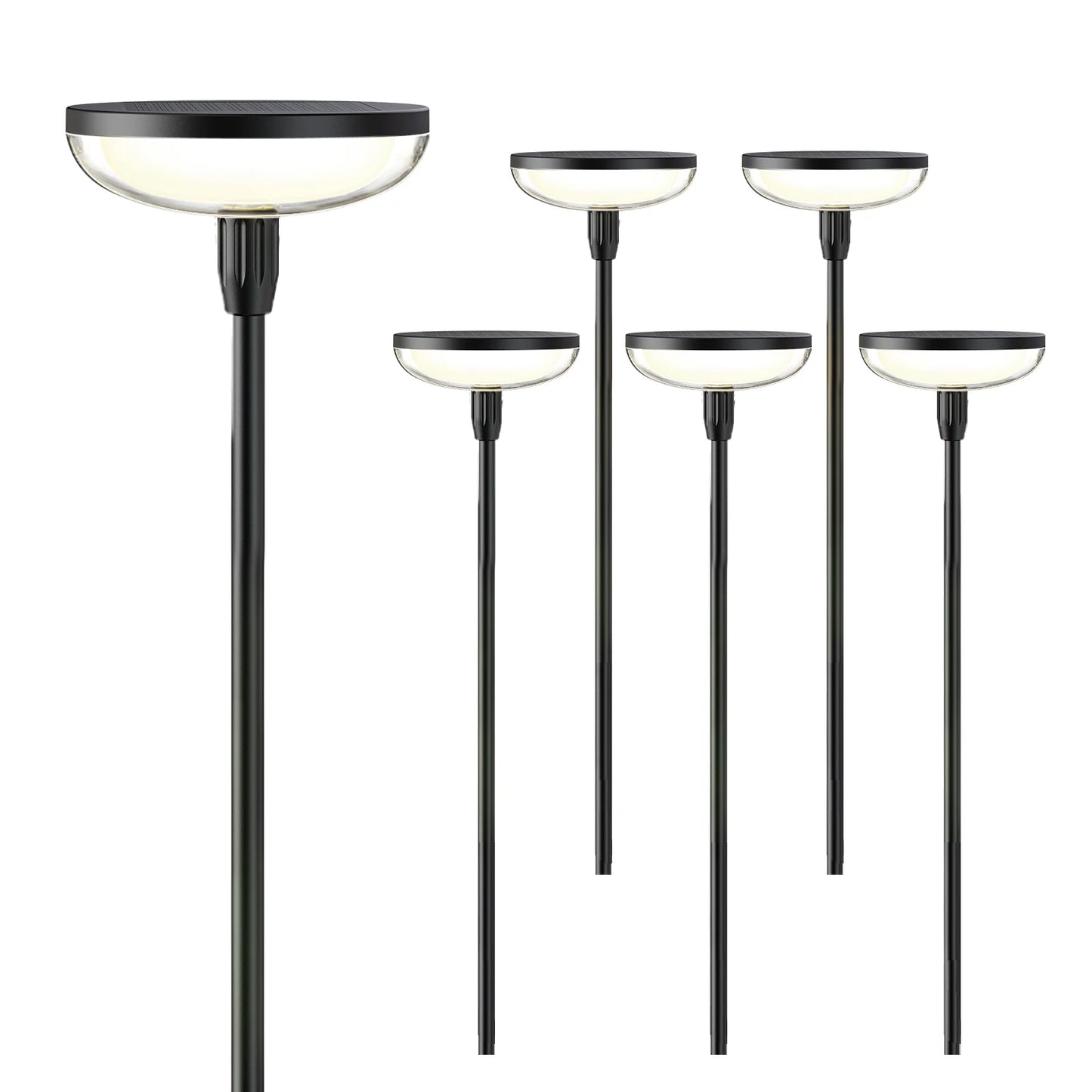 6Pack Solar Garden/Path Lights