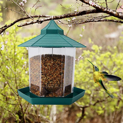 Wild Bird Feeders for Outside Rust Proof Hanging Feeders