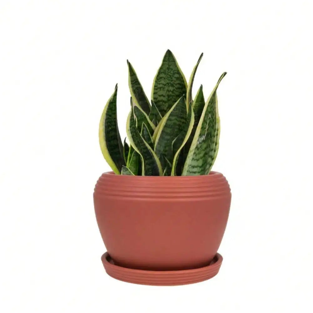 8 in.  Brick Red Ceramic Planter