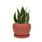8 in.  Brick Red Ceramic Planter