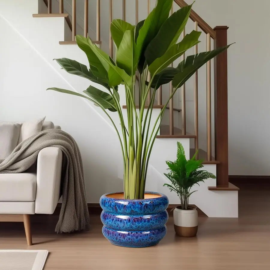 Ceramic 10 Inch Indoor Outdoor Planter with Drainage Hole