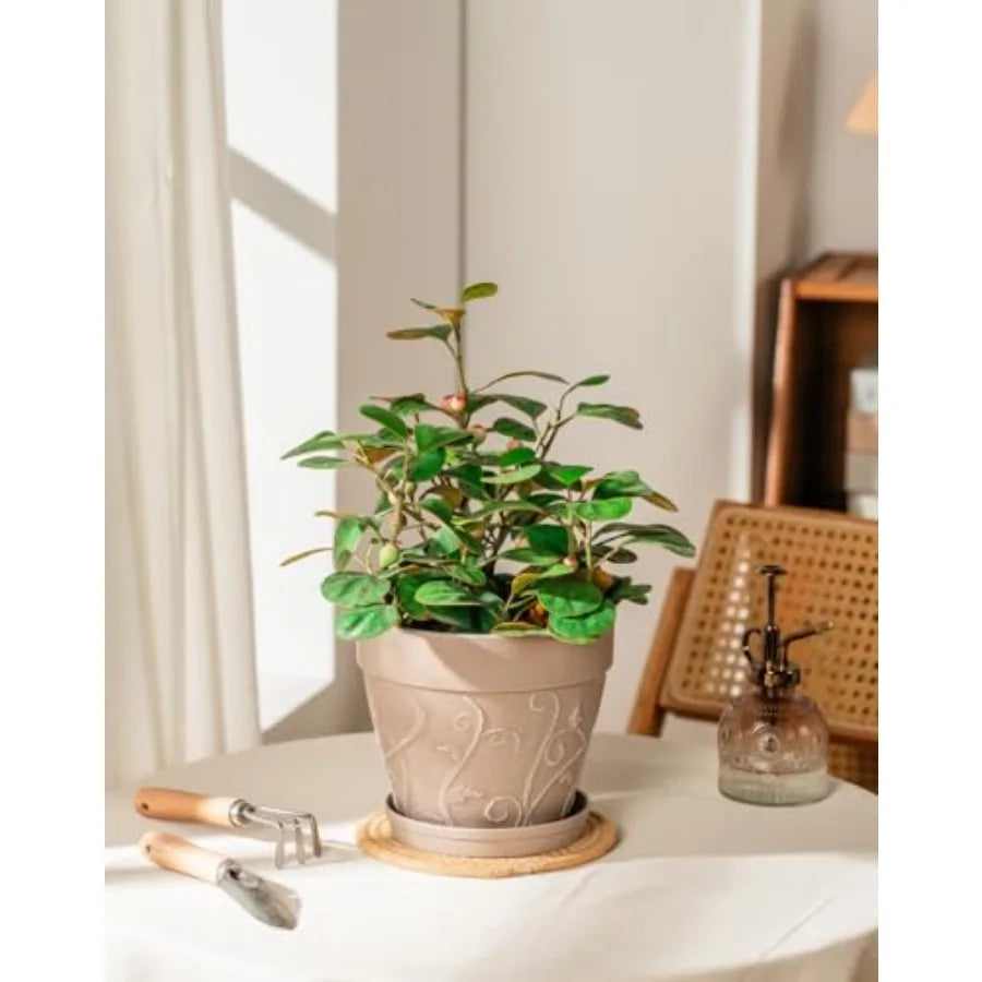 2Pack 7 inch Flower Pots