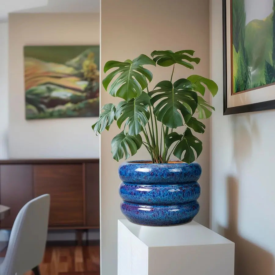 Ceramic 10 Inch Indoor Outdoor Planter with Drainage Hole