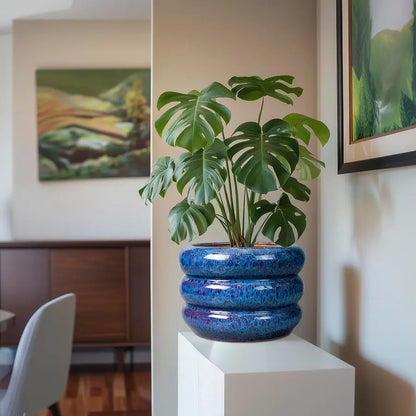 Ceramic 10 Inch Indoor Outdoor Planter with Drainage Hole