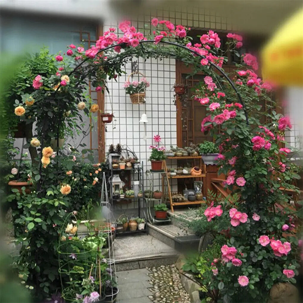 Metal Climbing Plants Trellis Garden Arch
