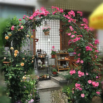 Metal Climbing Plants Trellis Garden Arch