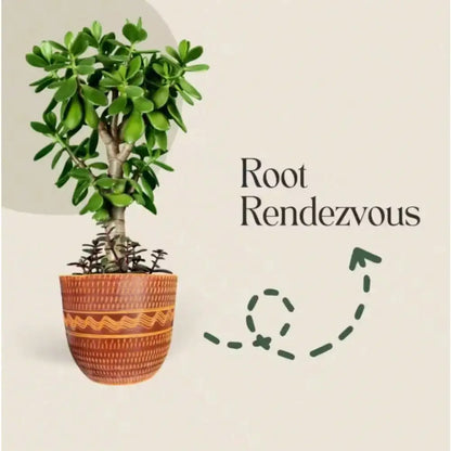 Flower Plant Pot for Indoor Outdoor