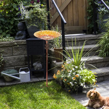 Outdoor Birdbath Birdfeeder with Metal Stake
