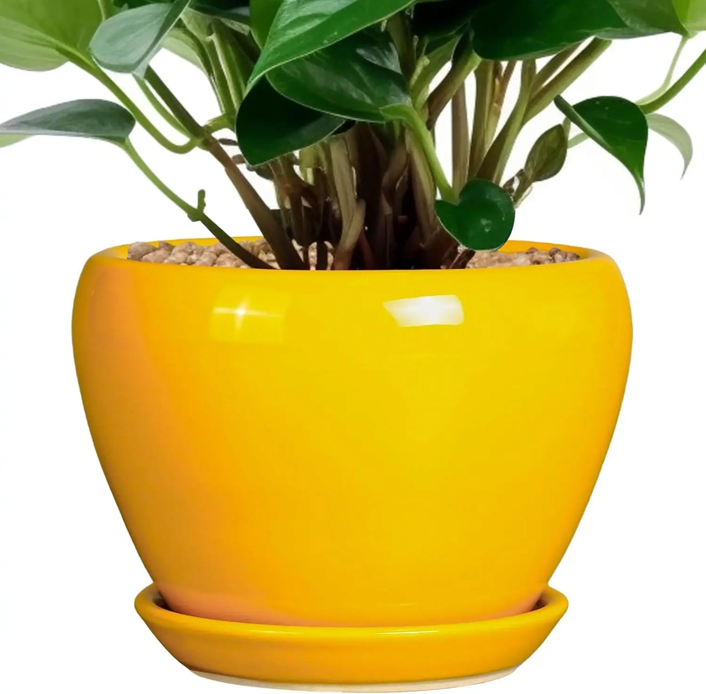 6 Inch Modern Yellow Ceramic Plant Pot with Drainage Hole and Saucer