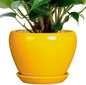 6 Inch Modern Yellow Ceramic Plant Pot with Drainage Hole and Saucer