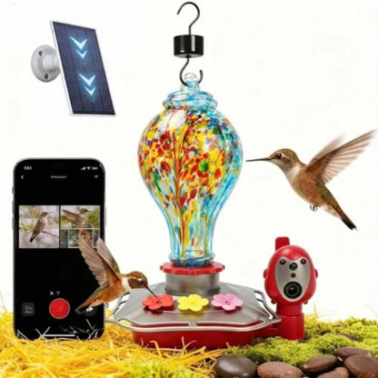 Smart Glass Hummingbird Feeder with Solar Powered Camera