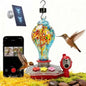Smart Glass Hummingbird Feeder with Solar Powered Camera