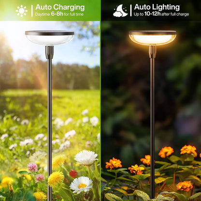 6Pack Solar Garden/Path Lights